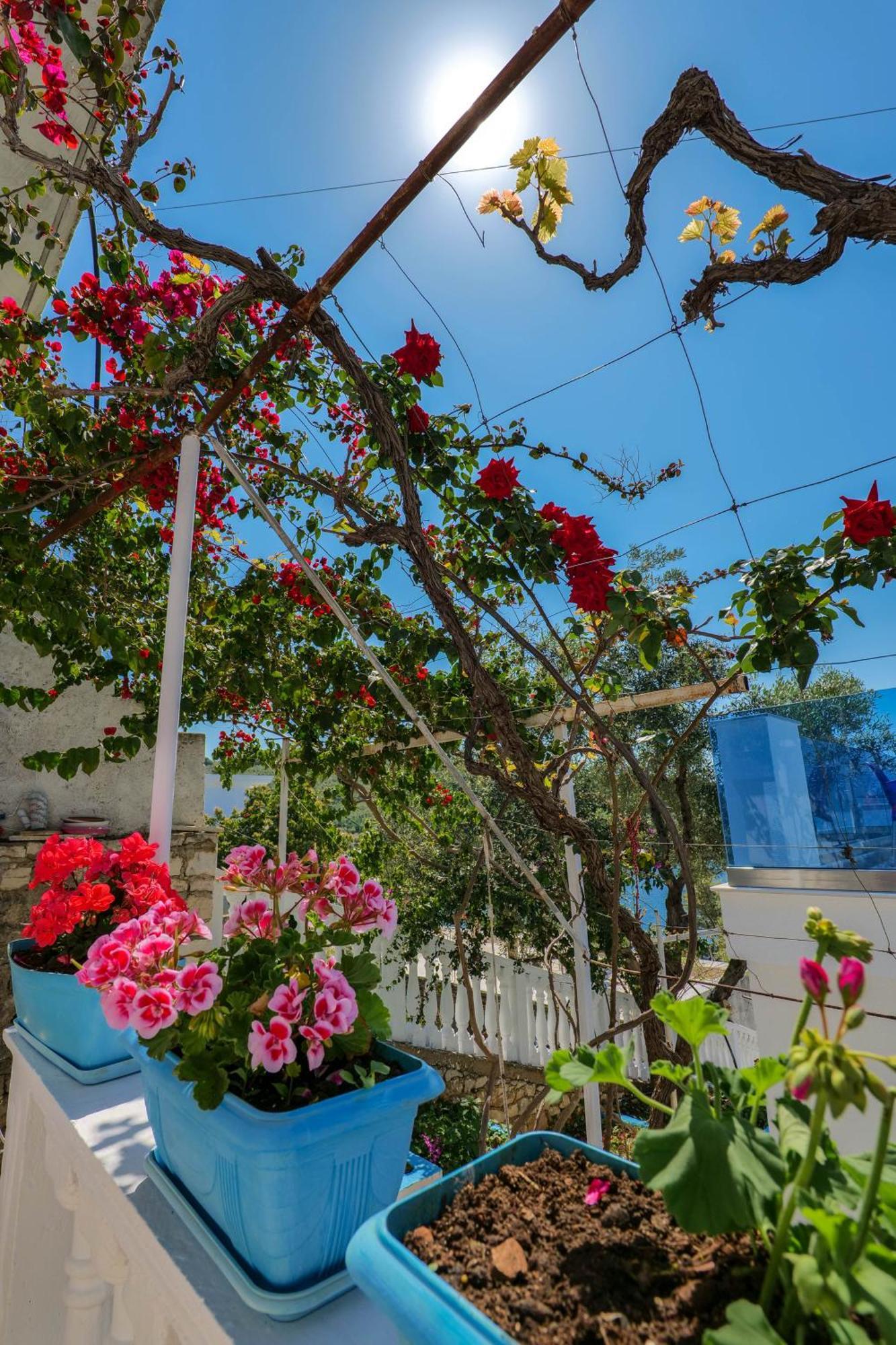 Fabeno Villa Sarandë エクステリア 写真